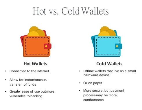 risk profile hot cold wallet